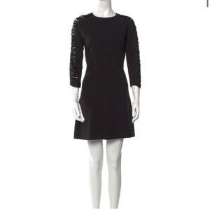 Sandro Paris Dress Fringe Sleeves